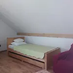 Zola Gornji Karin