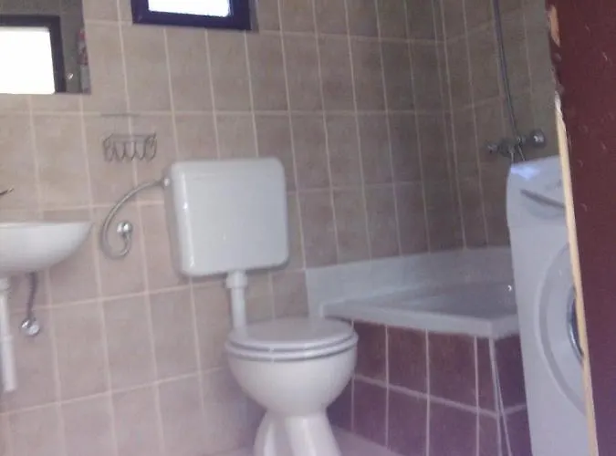 Apartman Zola *
