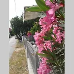 Zola 公寓 *