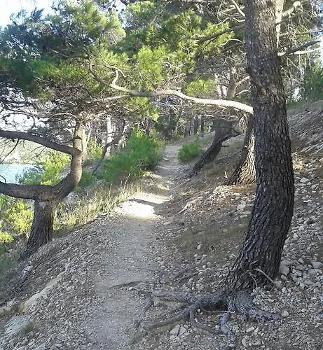 Zola 아파트 *
